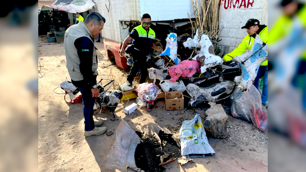 Decomisan 250 kg de pirotecnia en SLP; clausuran fábrica clandestina 2.png