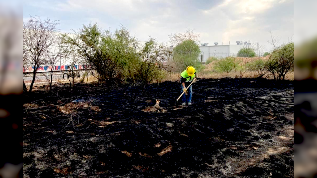 San Luis Potosí es de los 3 estados menos afectados por incendios forestales