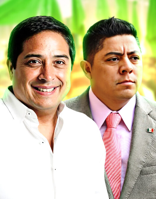 Ricardo Gallardo Cardona respalda afiliación de Tecmol al Partido Verde