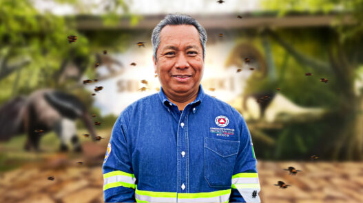 Denunciarán a Protección Civil por quemar enjambre de abejas en Ciudad Valles