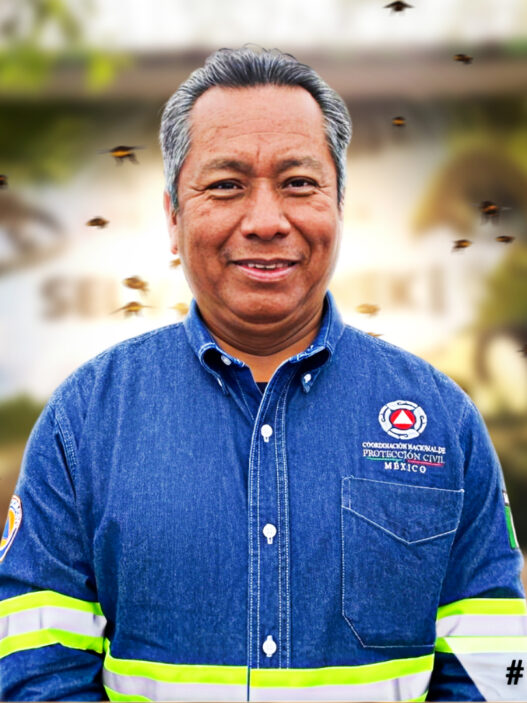 Denunciarán a Protección Civil por quemar enjambre de abejas en Ciudad Valles