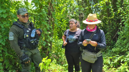 Hallan nuevo campo de exterminio en Ciudad Valles; suman 13 en la Huasteca Potosina
