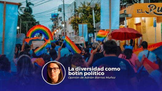 La diversidad como botín político