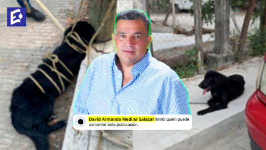 Alcalde de Ciudad Valles limitó comentarios en redes sociales ante críticas por caso Hachi