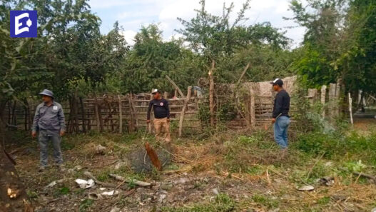 Hallan nueve posibles campos de exterminio en la Huasteca Potosina