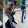 ¡Justicia para Hachi! Asfixian a perro tras atacar a dos niños en Ciudad Valles