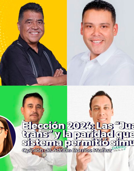 Elección 2024: Las “Juanitas trans” y la paridad que el sistema permitió simular