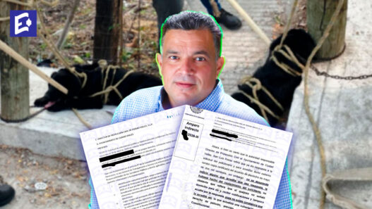 Juez federal exhibe omisión de David Medina en el caso Hachi