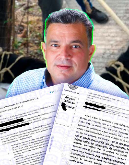 Juez federal exhibe omisión de David Medina en el caso Hachi